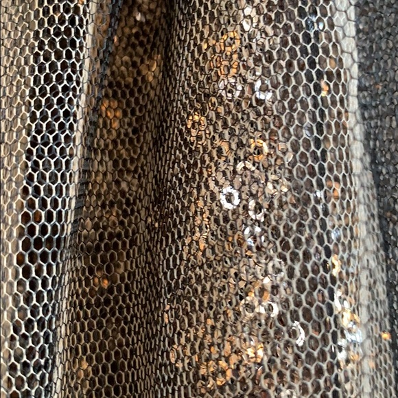 Greylin Dresses & Skirts - Greylin Netting over Sequin Skirt